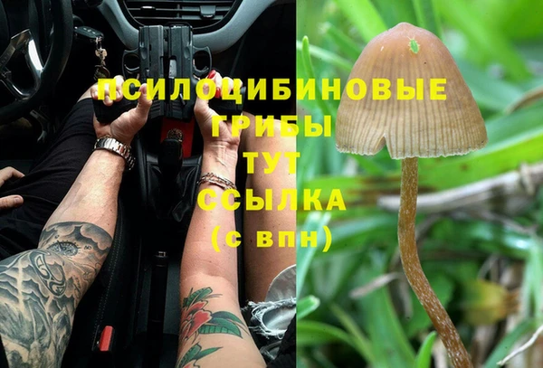 дмт Кулебаки