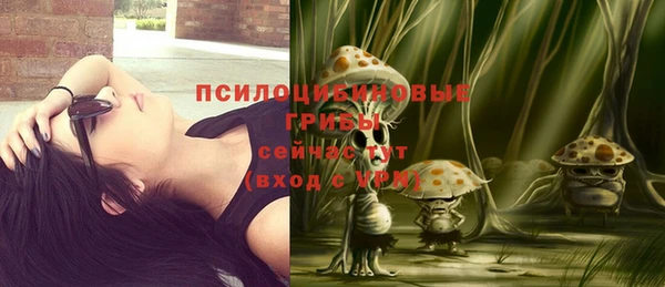 прущий лед Куйбышев