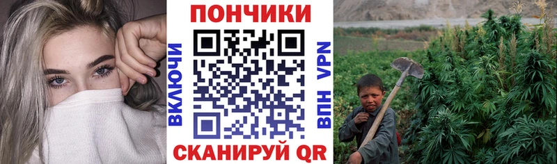 Бошки марихуана SATIVA & INDICA  kraken зеркало  Фурманов 